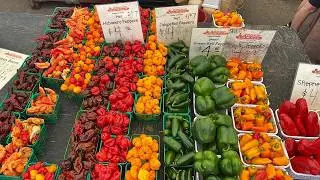 St. Jacobs Farmers' Market #gallivanting | CaribbeanPot.com