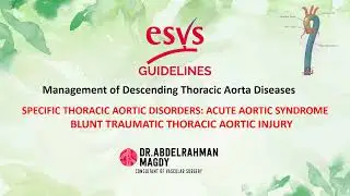 Guidelines In Lines Management of DTA Diseases: Acute Aortic Syndrome :Blunt Traumatic Aortic Injury