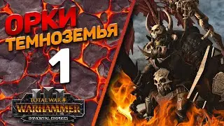 Total War: Warhammer 3 - (Легенда) - Орки Темноземья #1