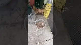 Чем мы занимаемся на улице?