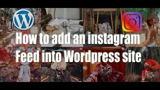 How to add Instagram posts on WordPress website  |  Insta Feed plugin