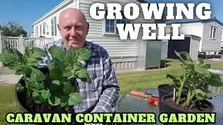 Growing Well In The Caravan Container Gardening