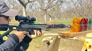 Crossbow vs Giant Gummy Bears