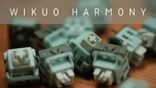 The Ultimate Clacky Switch? | Wikuo Harmony Review!