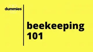 Dummies University: Beekeeping 101 (Beekeeping for Dummies)