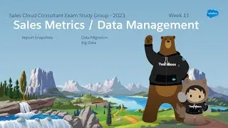 Sales Cloud Consultant Study Group 2023 - Week 11