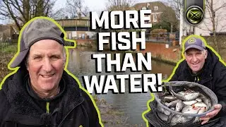 SO MANY FISH! | Mark Pollard Bags Up On Bread!