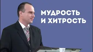 Мудрость и хитрость | Уроки чистоПисания