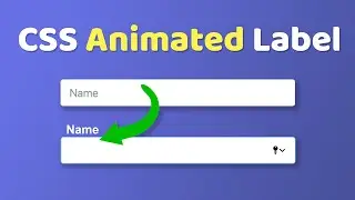 Animated Floating Input Labels Pure CSS