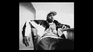 NAS x DJ PREMIER x OLD SCHOOL BOOM BAP TYPE BEAT "MEMORY LANE"