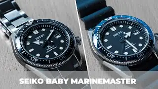 $600 Marinemaster Won't Break The Bank | Seiko SBDC061 & SBDC063