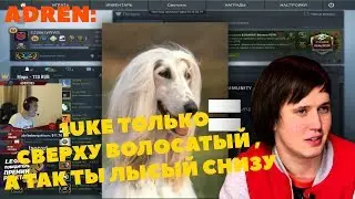 🔴 ADREN РОФЛИТ НАД ЛЮКОМ . ADREAN , FITCH , SL4M , FENYA И 1UKE СТЕБУТСЯ С MIMIMICHAELA