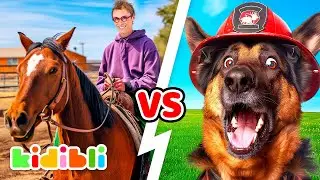 Horses VS Dogs Compilation | Animal Educational Videos for Kids | Kidibli