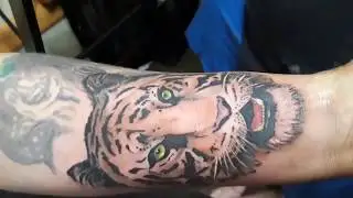 Tiger Tattoo