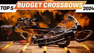 Top 5 BEST Budget Crossbow You can Buy Right Now [2024]