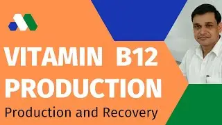 Vitamin B12 production and it's recovery