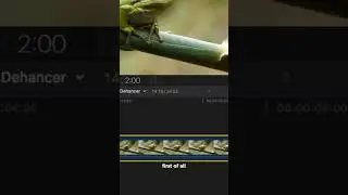 The Best Plugin For Final Cut Pro 🤩