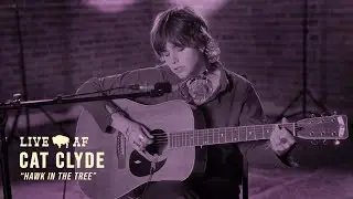 Cat Clyde | "Hawk in the Tree" | Live AF