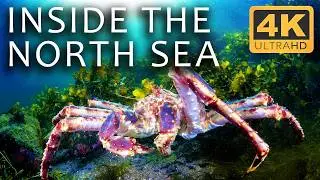 Mysteries of the North Sea: Whispers from the Deep | Secrets of the Seas Ep. 3 | 4K UHD Documentary