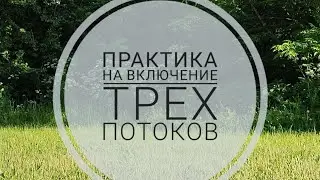 Практика на природе. Включаем три потока 🌳🌬️❤️