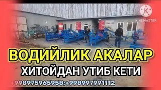 ВОДИЙЛИК АКАЛАР ХИТОЙДАН УТИБ КЕТИКУ