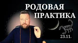 НОВОЛУНИЕ 23 НОЯБРЯ - ШАНС ПОМОЧЬ СВОЕМУ РОДУ!