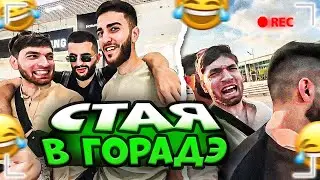 СТАЯ НАВОДИТ СУЕТУ В СОЧИ! ГОНЯЮТ НА МОПЕДЕ И ЛОВЯТ ДПСНИКОВ | РАВШАН ИРЛ СТРИМ