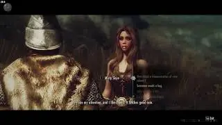 SKYRIM: Dialogue Overhauls