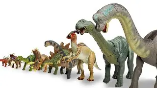 ENTIRE Herbivore Collection Big to Small! | Brachiosaurus, Apatosaurus, Stegosaurus and More!