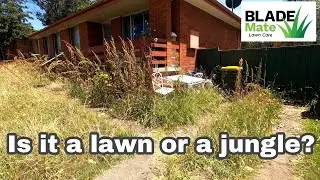 Ugly yard is now beautiful  - Mowing tall grass