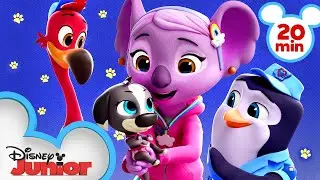 Calling All T.O.T.S. 🐧| Compilation | T.O.T.S. | Disney Junior