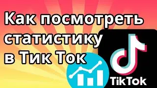 Как посмотреть статистику в Тик Ток, подключаем аналитику к аккаунту