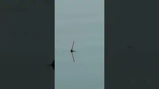 Порада старих рибаків 