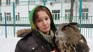 Don't pet the owl! It's bad! Owls don't like to be touched.