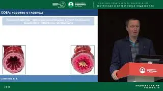 Эндоскопическая санация бронхиального дерева – так ли она необходима?