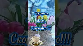 26 февраля ❄️Крепитесь Люди Скоро Лето☕ Красивое Пожелание Доброе утро, Хорошего Дня☕