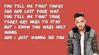 Through The Dark - One Direction (Lyrics)