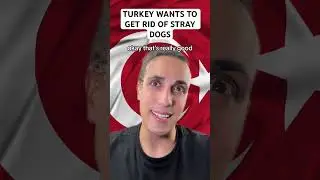 Turkey Wants To Get Rid Of Stray Dogs