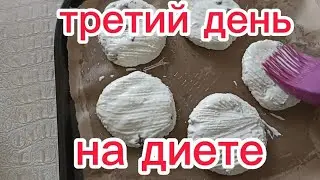 Третий День на ДИЕТЕ Моё Питание при ПСОРИАЗЕ Сырники в Духовке мне не понравились)))