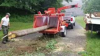 Dangerous Powerful Wood Chipper Machines Working, Extreme Fastest Tree Shredder Machines