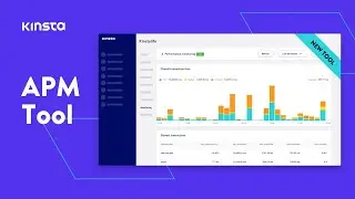 Kinsta's New Application Performance Monitoring (APM) Tool