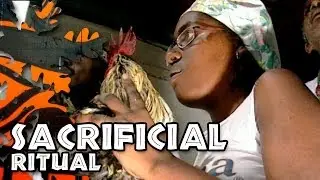 Sacrificing a Hen for Voodoo