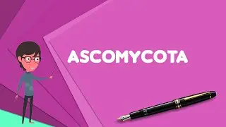 What is Ascomycota? Explain Ascomycota, Define Ascomycota, Meaning of Ascomycota