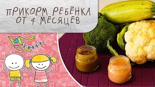 Прикорм ребенка от 4 месяцев [Супермамы]