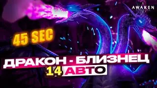 ДРАКОН БЛИЗНЕЦ 14 АВТО | 46 sec ЗАХОД | Awaken: Chaos Era