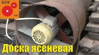 Доска ясеня. Покупка , подсушка , хранение .