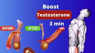 Boost male Harmon Naturally At Home | Boost Testosterone in | Pelvic Floor Exercises