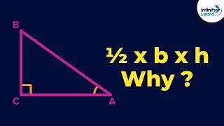 Area of Triangle = ½ x b x h  Why? | Fun Math | Dont Memorise