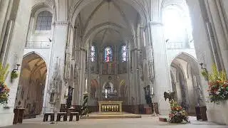 St.-Paulus-Dom in Münster - Glocken läuten - Kirchenglocken Geläut