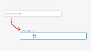 Move Placeholder to Top on Focus | Placeholder Animation using pure CSS